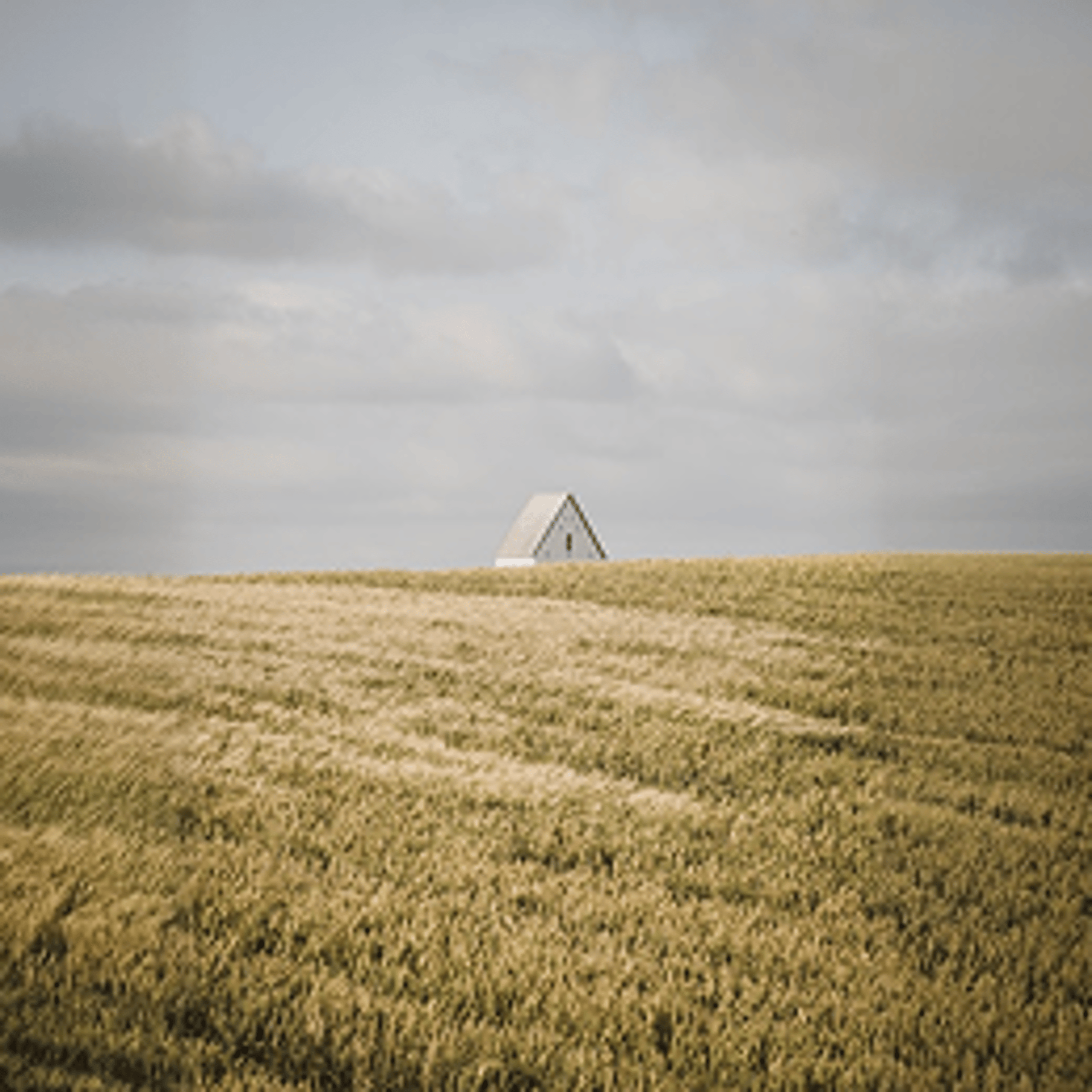 Scandinave_IMG01