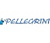 PELLEGRINI EURL