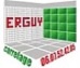 ERGUY CARRELAGE