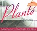 PLANTE SEBASTIEN