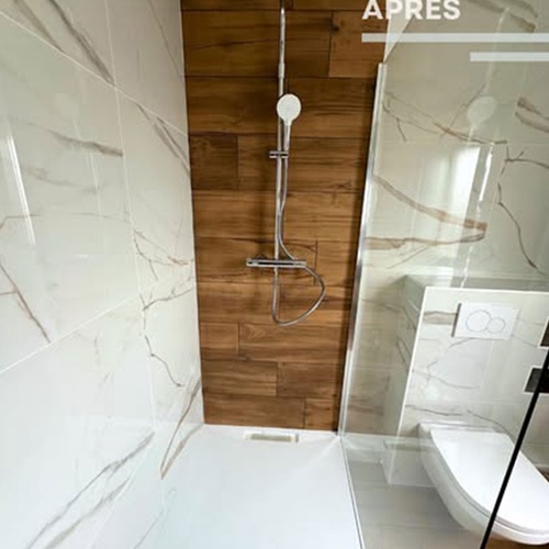 SERENYS RENOVATION