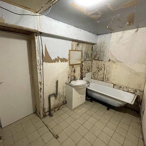 ESM RENOVATION
