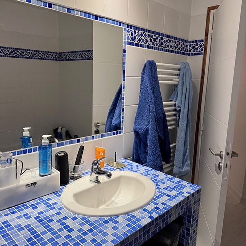 sani elec