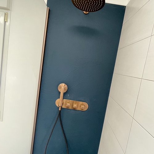 sani elec