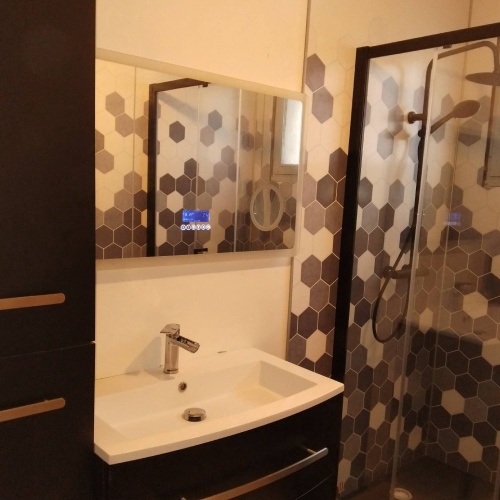 CANTAREL OLIVIER MSH