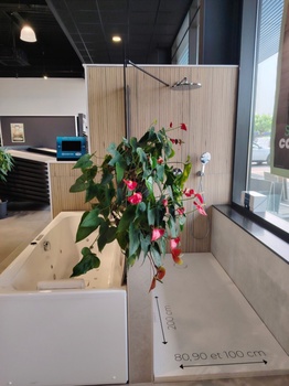 Salle de bain et receveur de douche