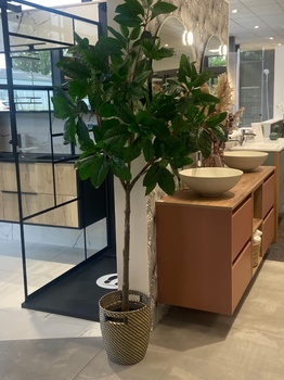 Magasin Malrieu Montauban (82)