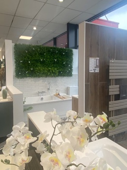 Magasin Malrieu Montauban (82)