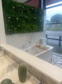 Magasin Malrieu Montauban (82)