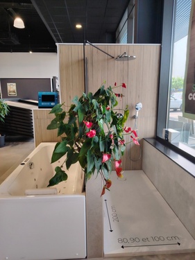 Salle de bain et receveur de douche