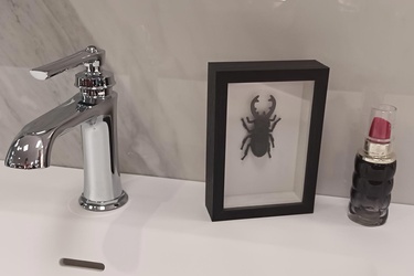 Magasin Frazzi Lisieux 10