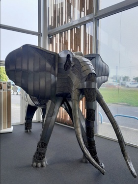 Magasin Moy à Nantes Saint-Herblain (44)