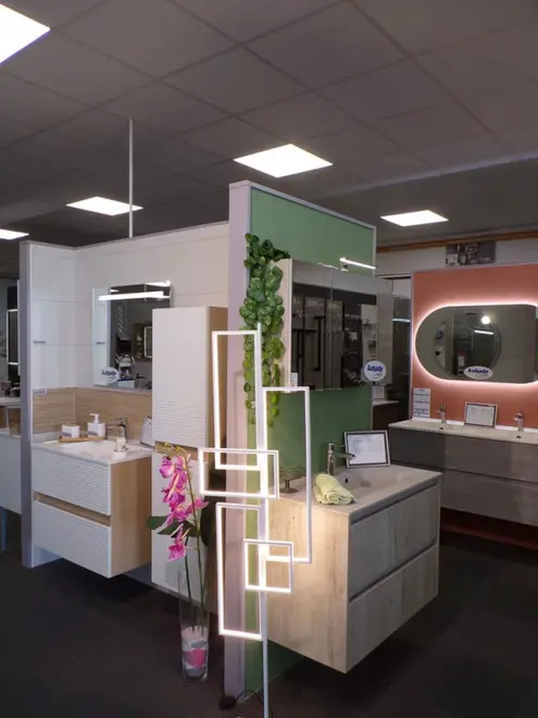 Magasin Maillard Flers (61) 1