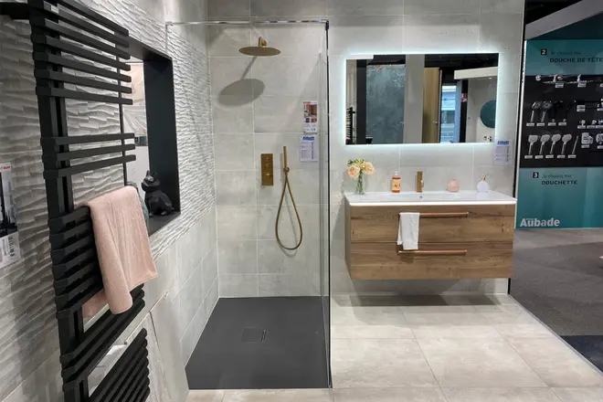 Magasin Mestre à Vienne (38) 7