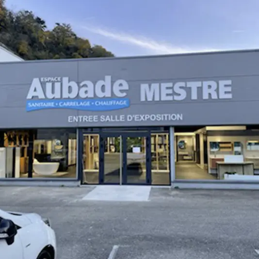 Magasin Mestre Vienne (38)